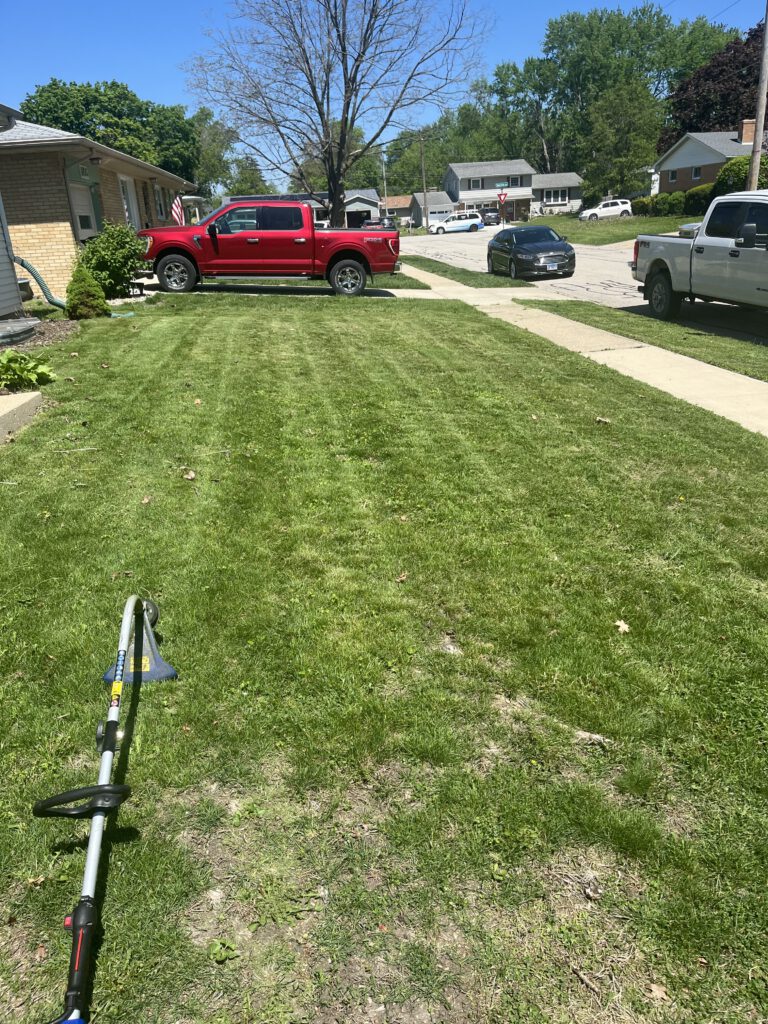 frontyard photo