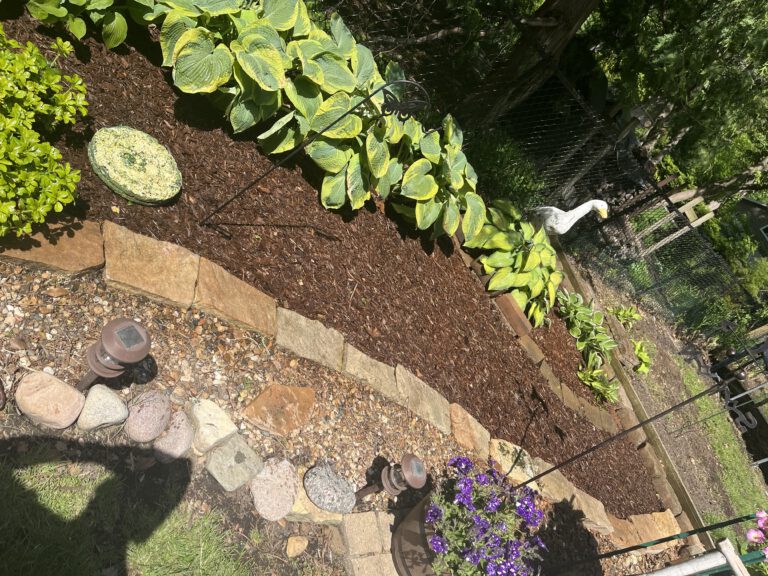 Mulching photo