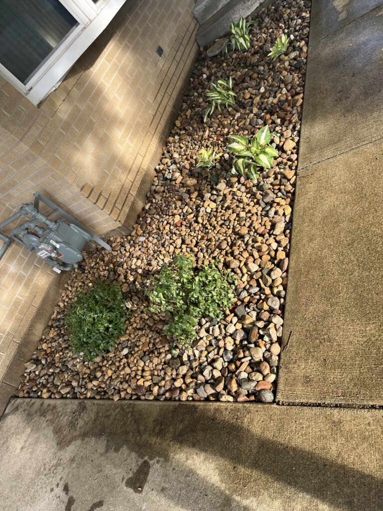 Landscaping photo