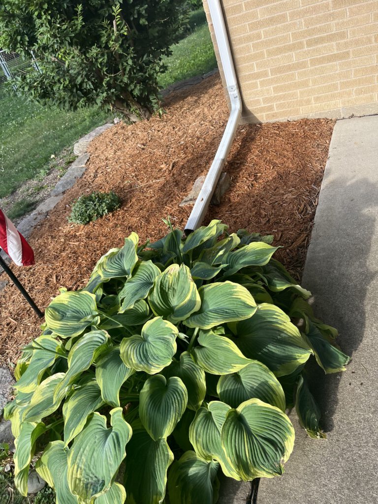 landscaping photo