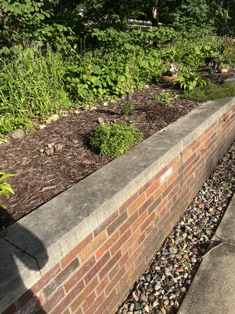 landscaping photo