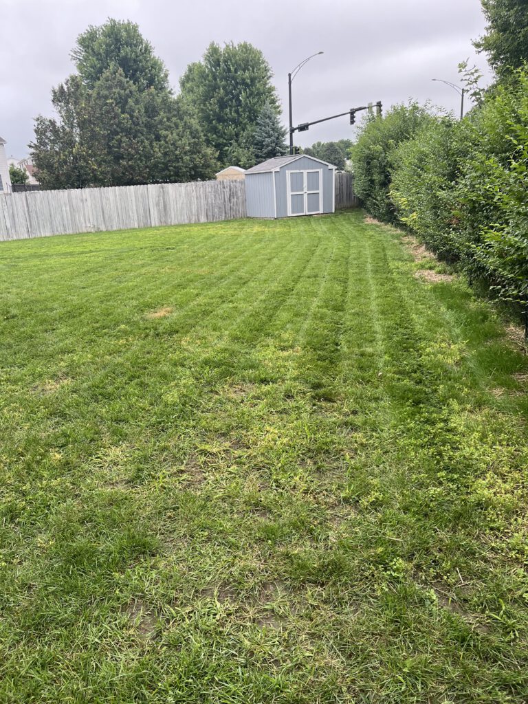 Yard photo